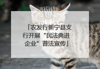 农发行新宁县支行开展“民法典进企业”普法宣传